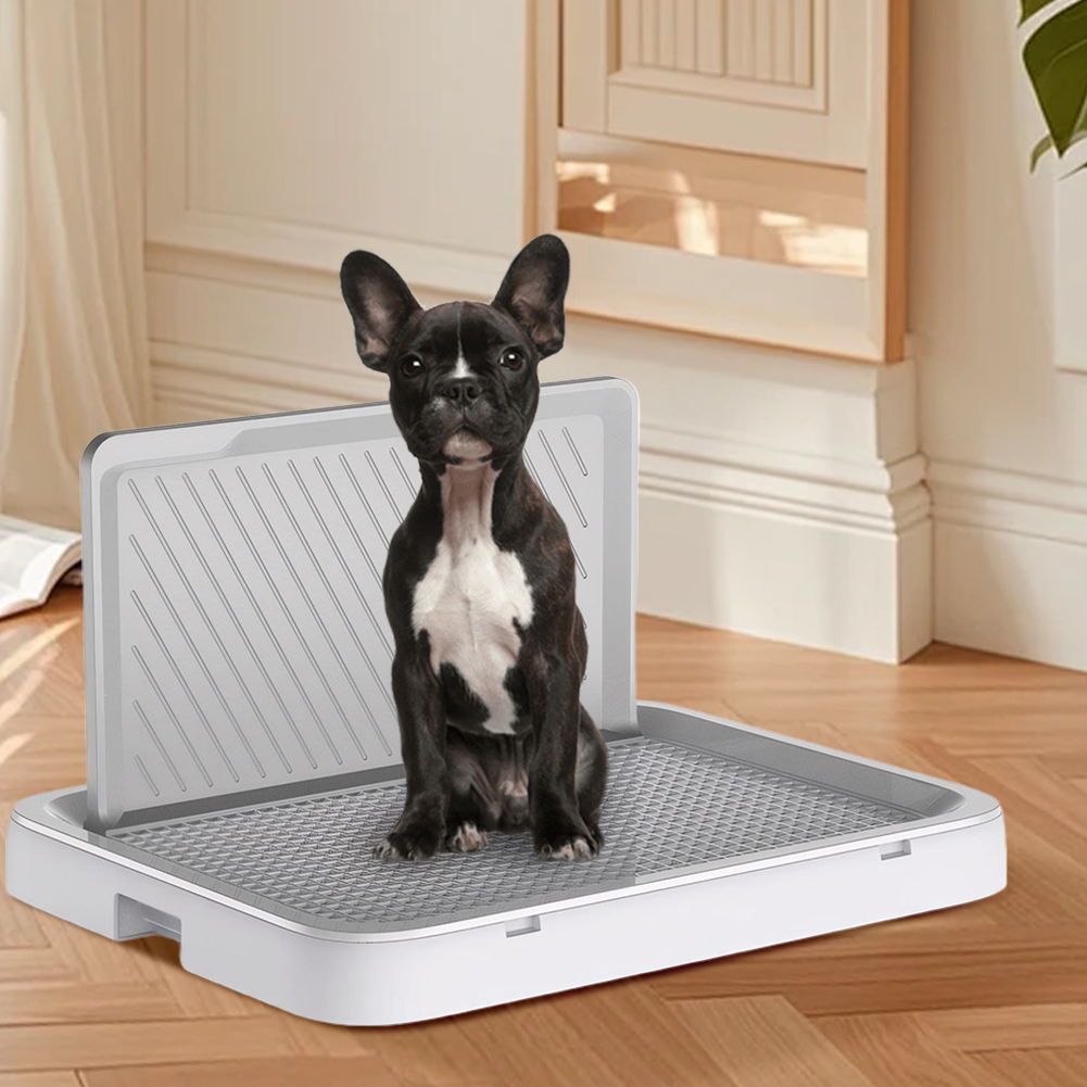 ถาดรองฉี่สุนัขพร้อมแผ่นรองฉี่แ - Bench Dog Hole บทวิจารณ์และราคา